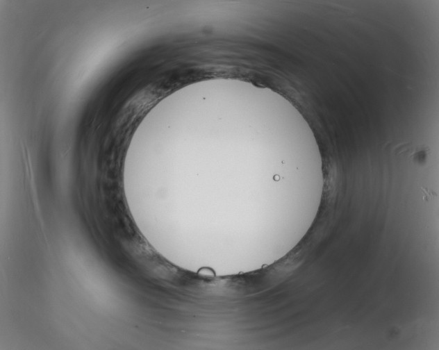 X0000116130430200912211719
