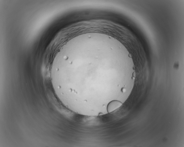 X0000116130431200912211719