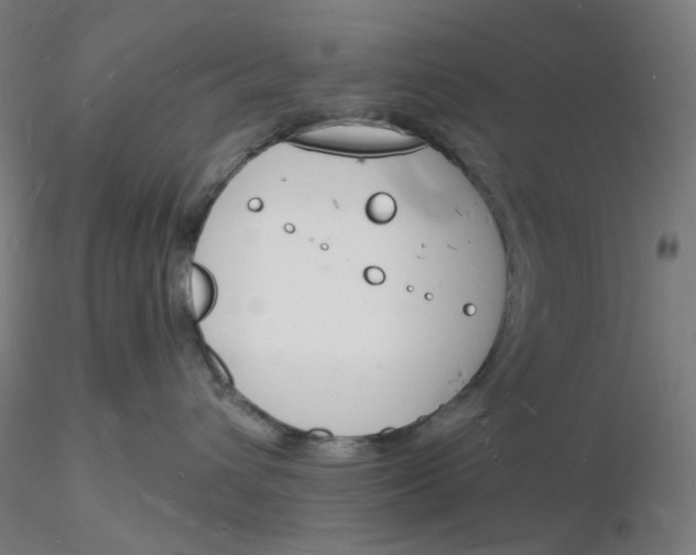 X0000116130432200912211719