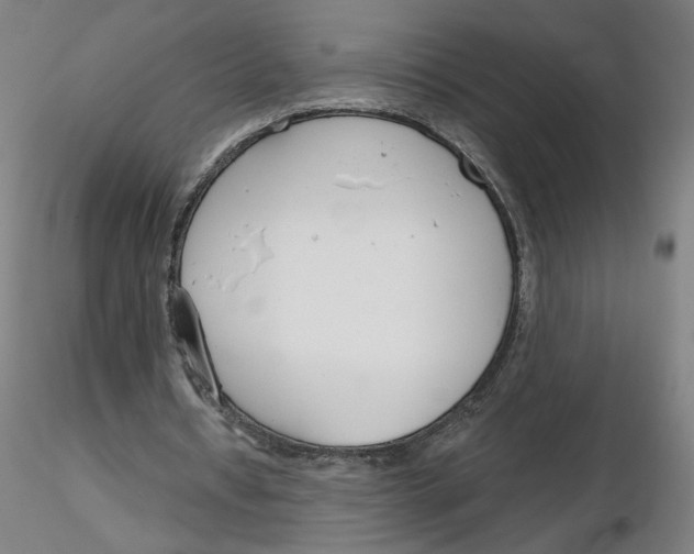 X0000116130434200912211718