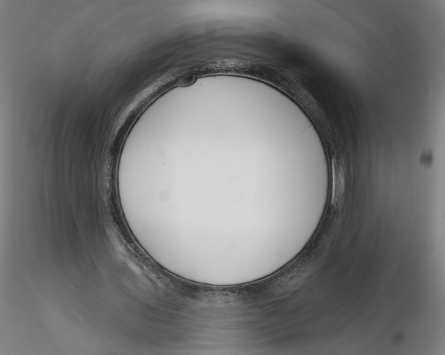 X0000116130435200912211718