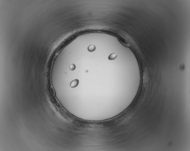 X0000116130436200912211718