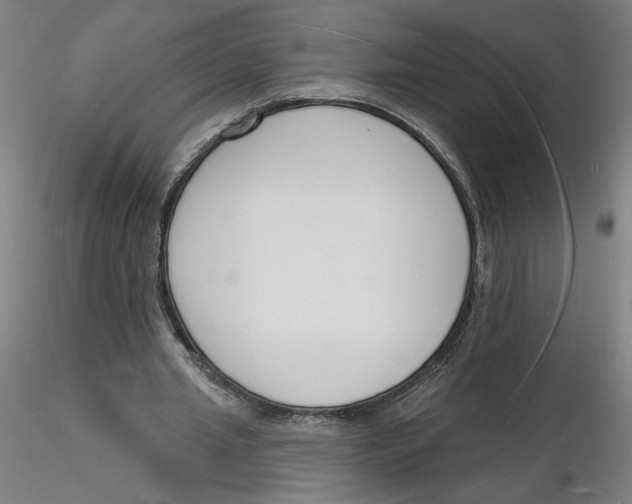 X0000116130437200912211718