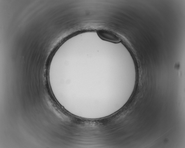 X0000116130439200912211718
