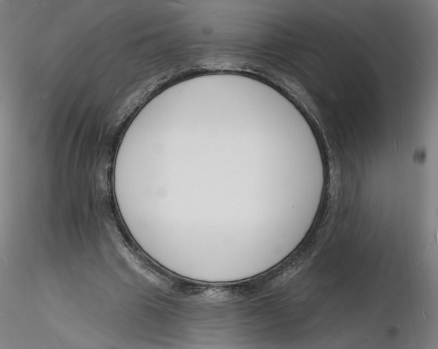 X0000116130441200912211718