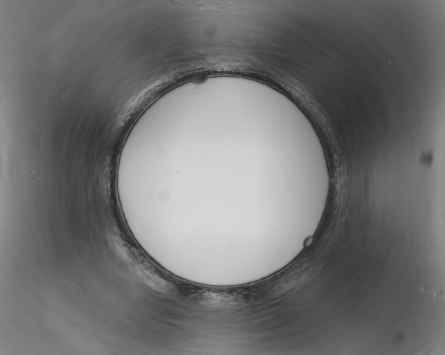 X0000116130442200912211718