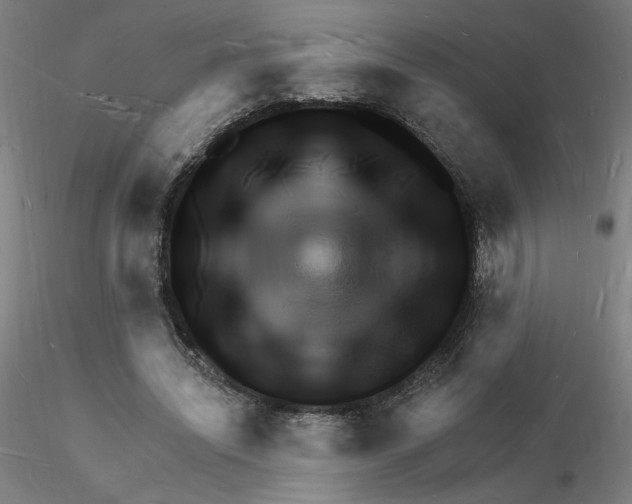 X0000116130444200912211718