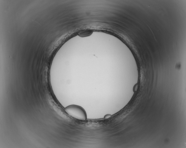 X0000116130445200912211718