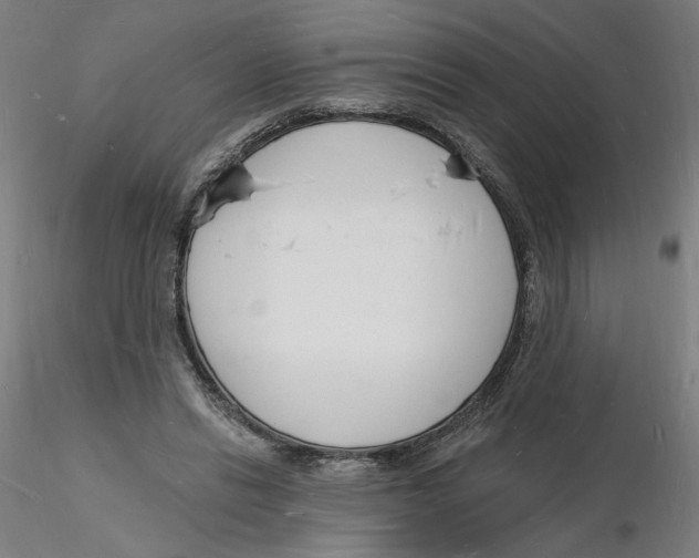 X0000116130446200912211718