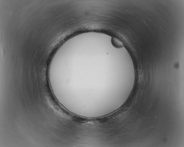 X0000116130447200912211718