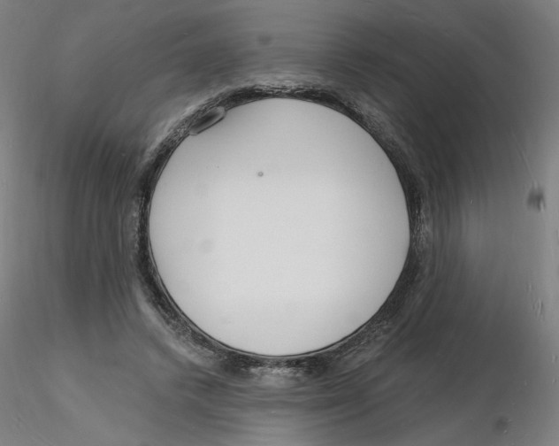 X0000116130448200912211718