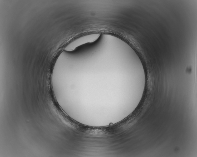 X0000116130449200912211718