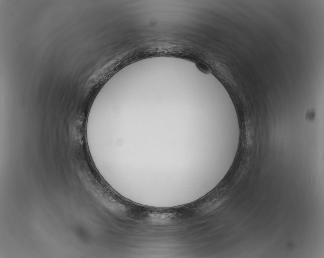 X0000116130450200912211718