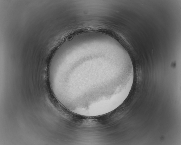X0000116130451200912211718