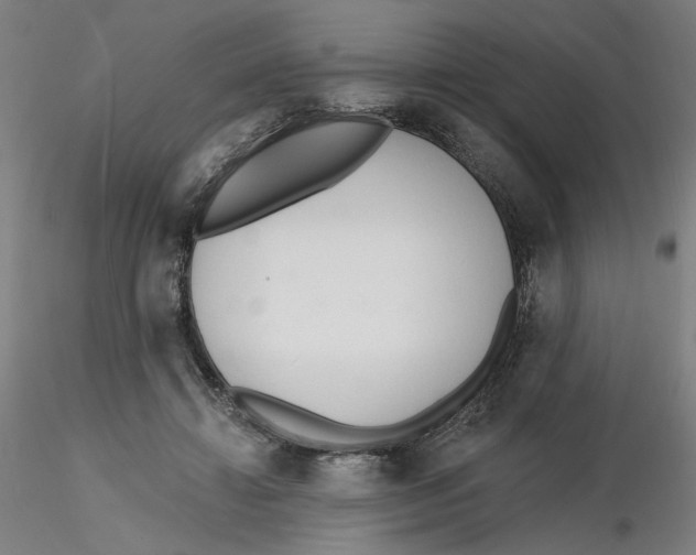 X0000116130452200912211718