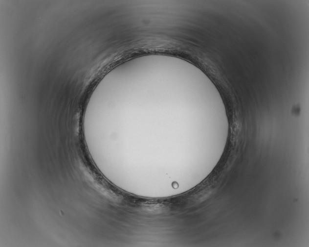 X0000116130454200912211718