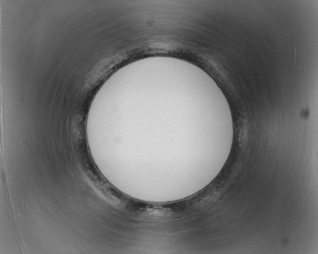 X0000116130455200912211719