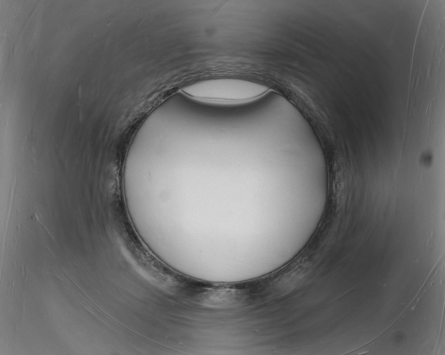 X0000116130459200912211719