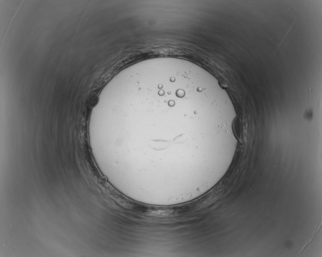 X0000116130461200912211719