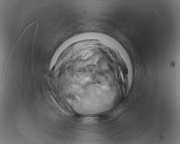 X0000116130465200912211719