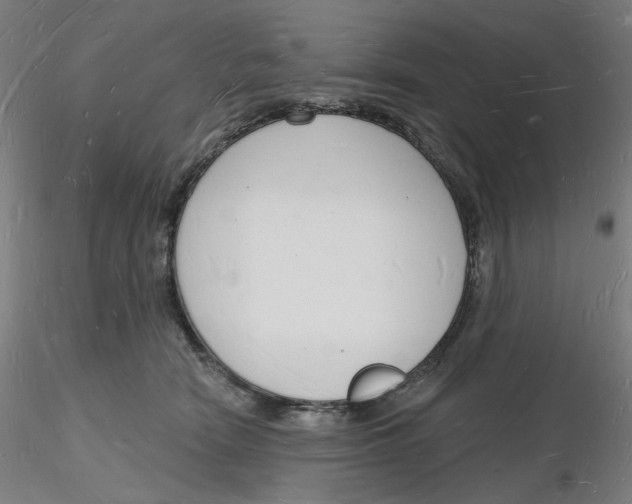 X0000116130466200912211719