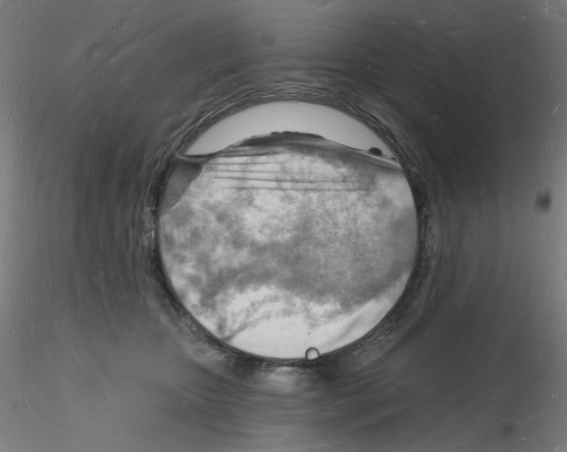 X0000116130467200912211719