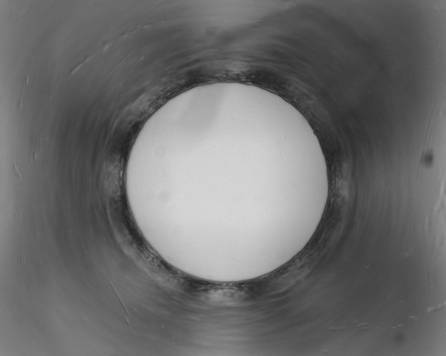 X0000116130468200912211719