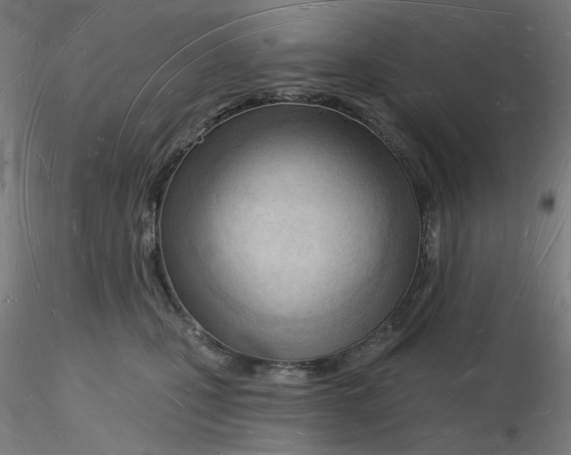 X0000116130471200912211719