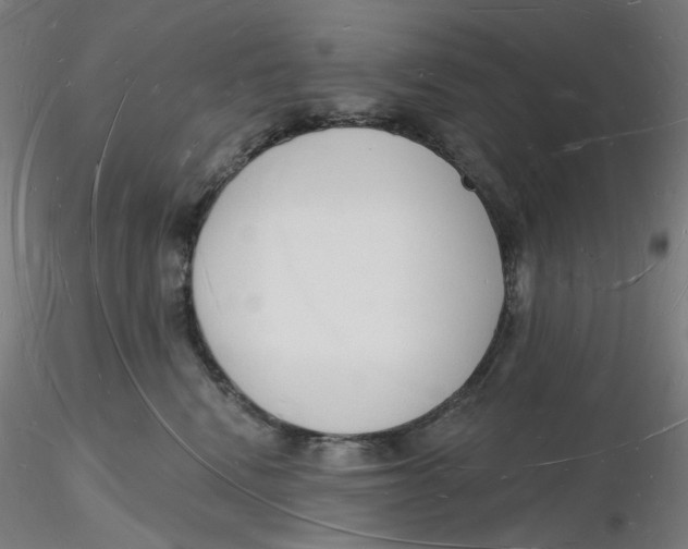 X0000116130472200912211719