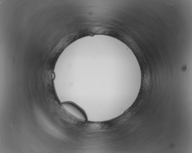 X0000116130473200912211719