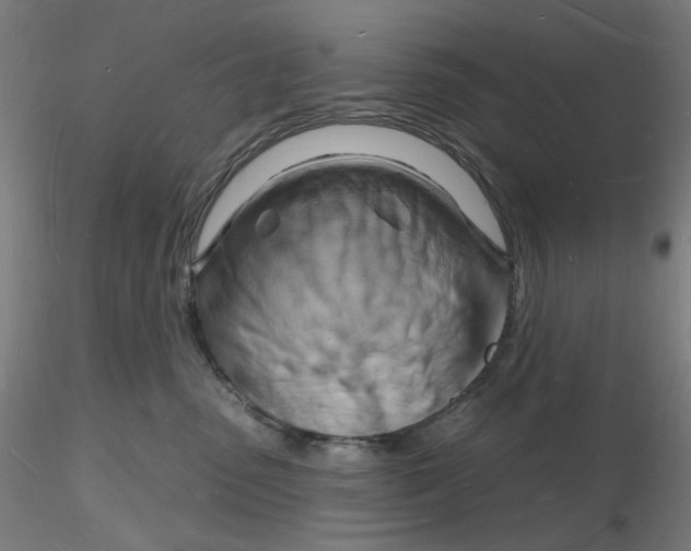 X0000116130475200912211719