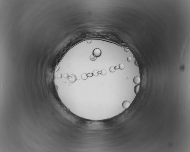 X0000116130476200912211719