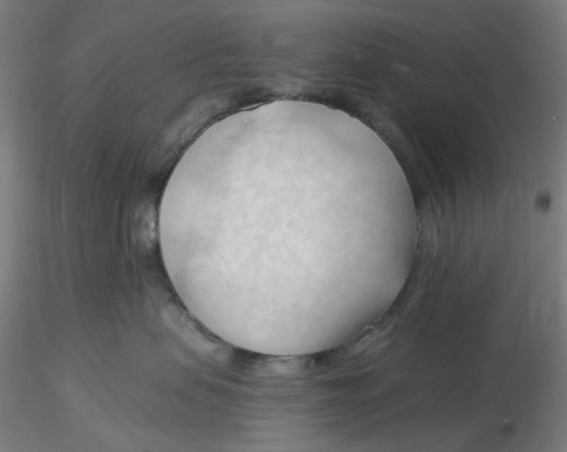 X0000116130479200912211719