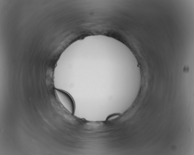 X0000116130480200912211719