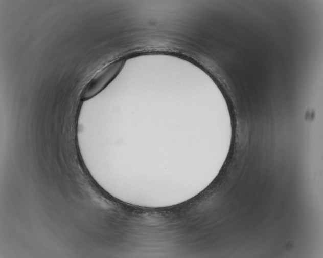 X0000116130481200912211718
