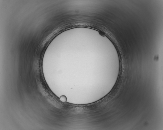 X0000116130482200912211718