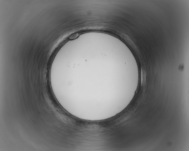 X0000116130483200912211718