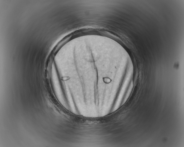 X0000116130484200912211718
