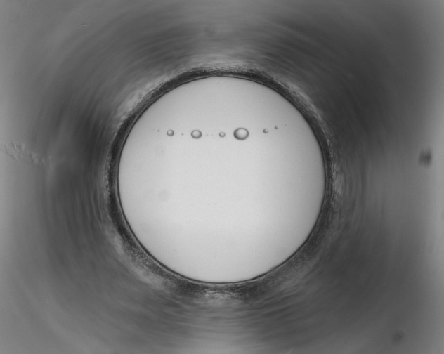 X0000116130487200912211718