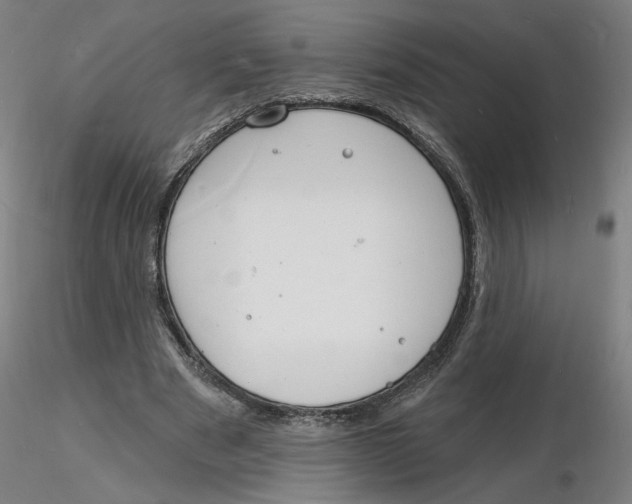 X0000116130489200912211718