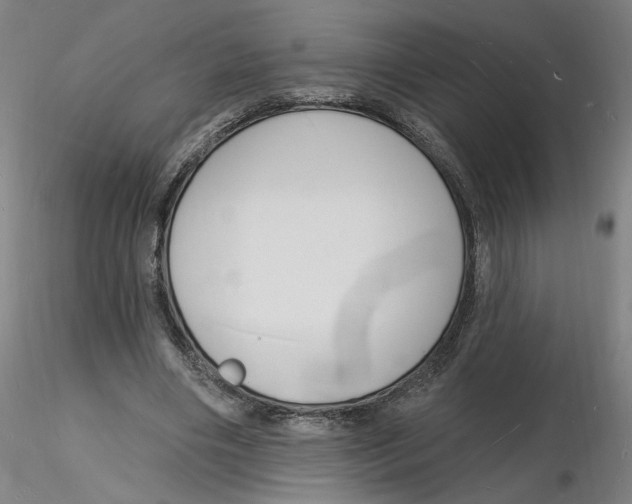 X0000116130490200912211718