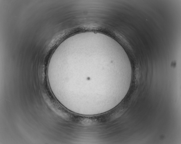 X0000116130494200912211718