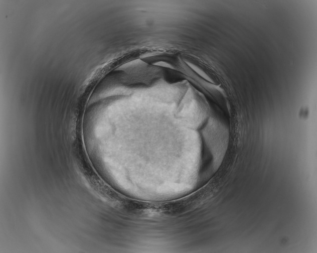 X0000116130496200912211718