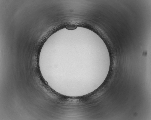 X0000116130497200912211718