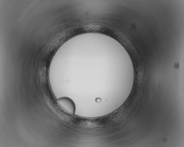 X0000116130498200912211718