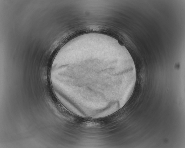 X0000116130500200912211718