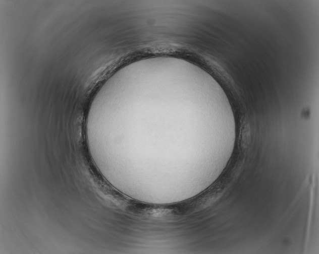 X0000116130501200912211718