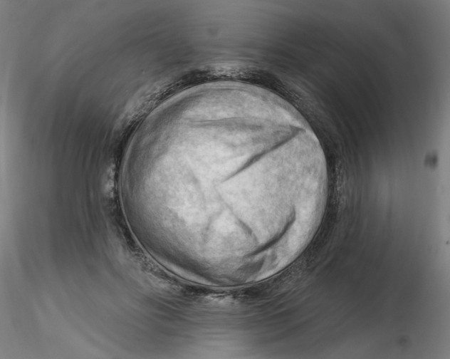 X0000116130502200912211718