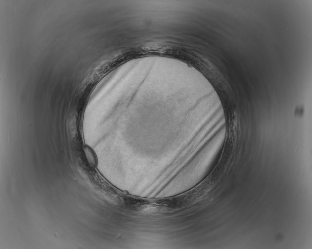 X0000116130504200912211718