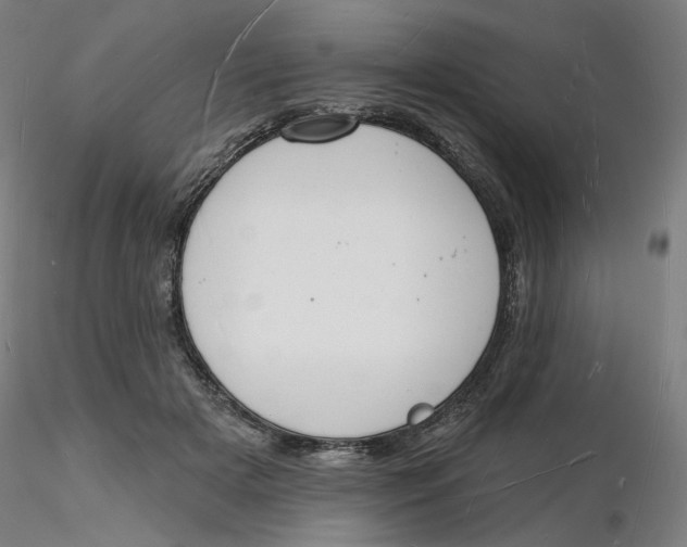 X0000116130505200912211718